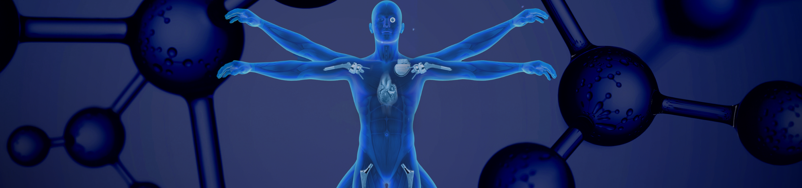 Become an Exhibitor or Sponsor