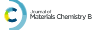 Journal of Materials Chemistry B